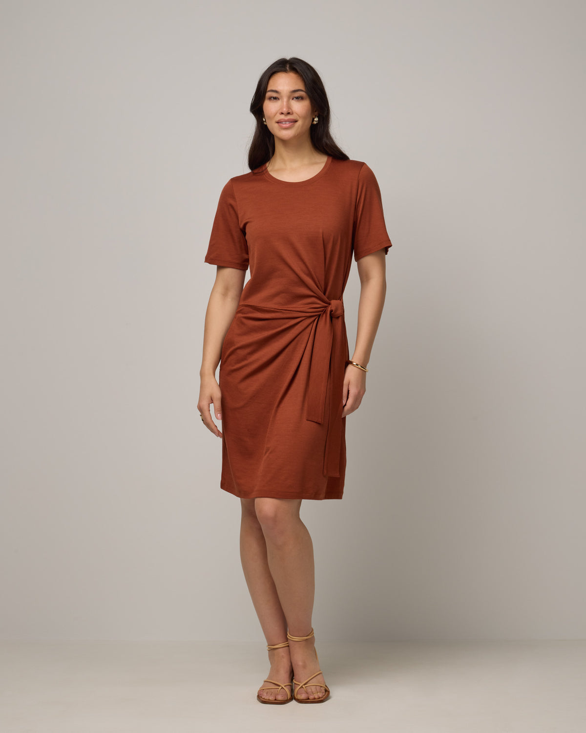 Model wearing Kelly Faux Tie Dress in Cinnamon, a rusty reddish-brown color. Kelly Faux Tie Dress is a merino wool crew neck, short sleeve, knee length shift dress with pockets available in sizes XS-3X. 